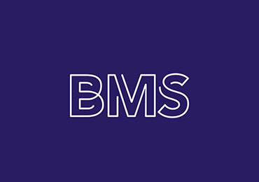 BMS SOFTWARE SOLUTIONS