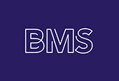 BMS SOFTWARE SOLUTIONS